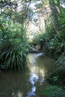 Bush Stream around cabin